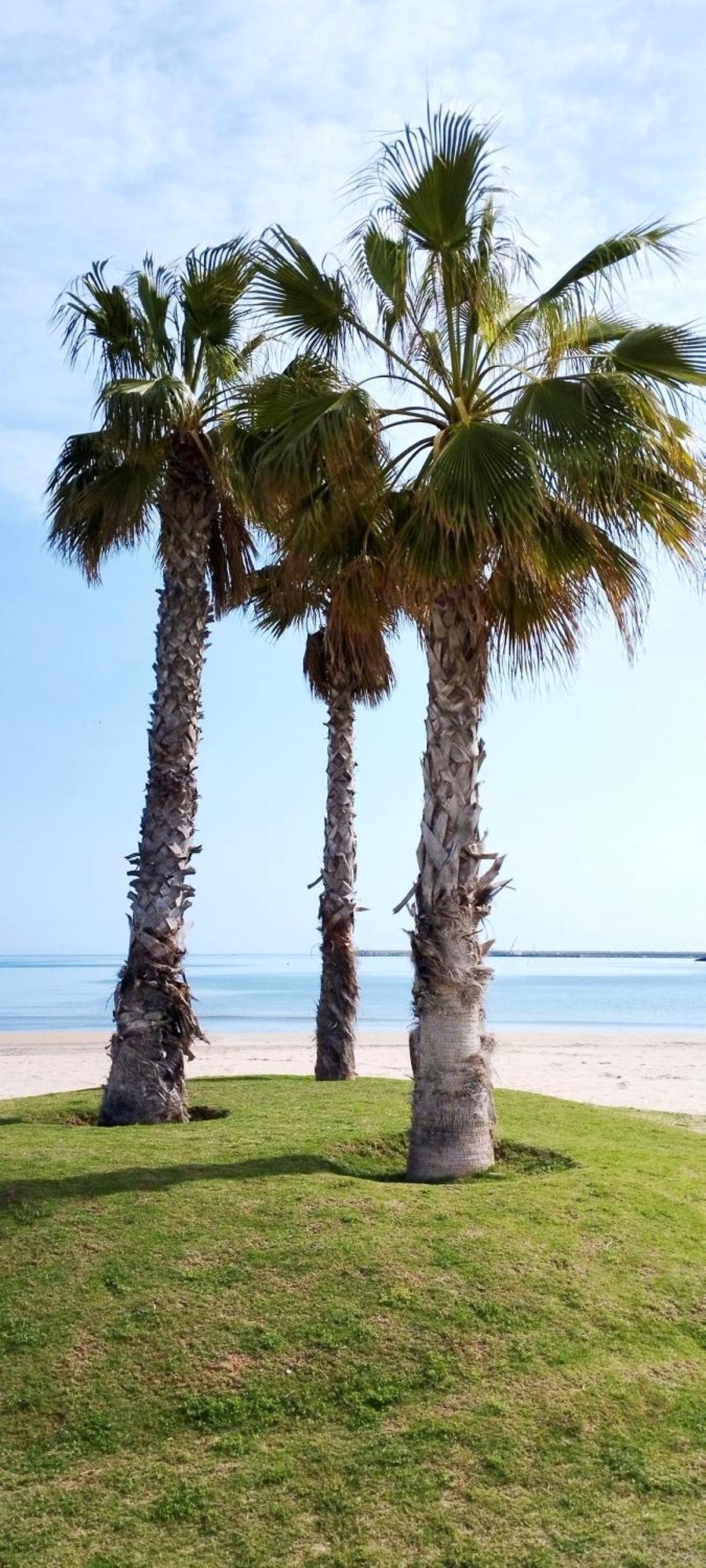 Beach House Marea Coral Melilla Ngoại thất bức ảnh